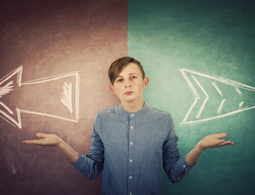 Making Healthy Choices & Safe Decisions: A Guide for Teens